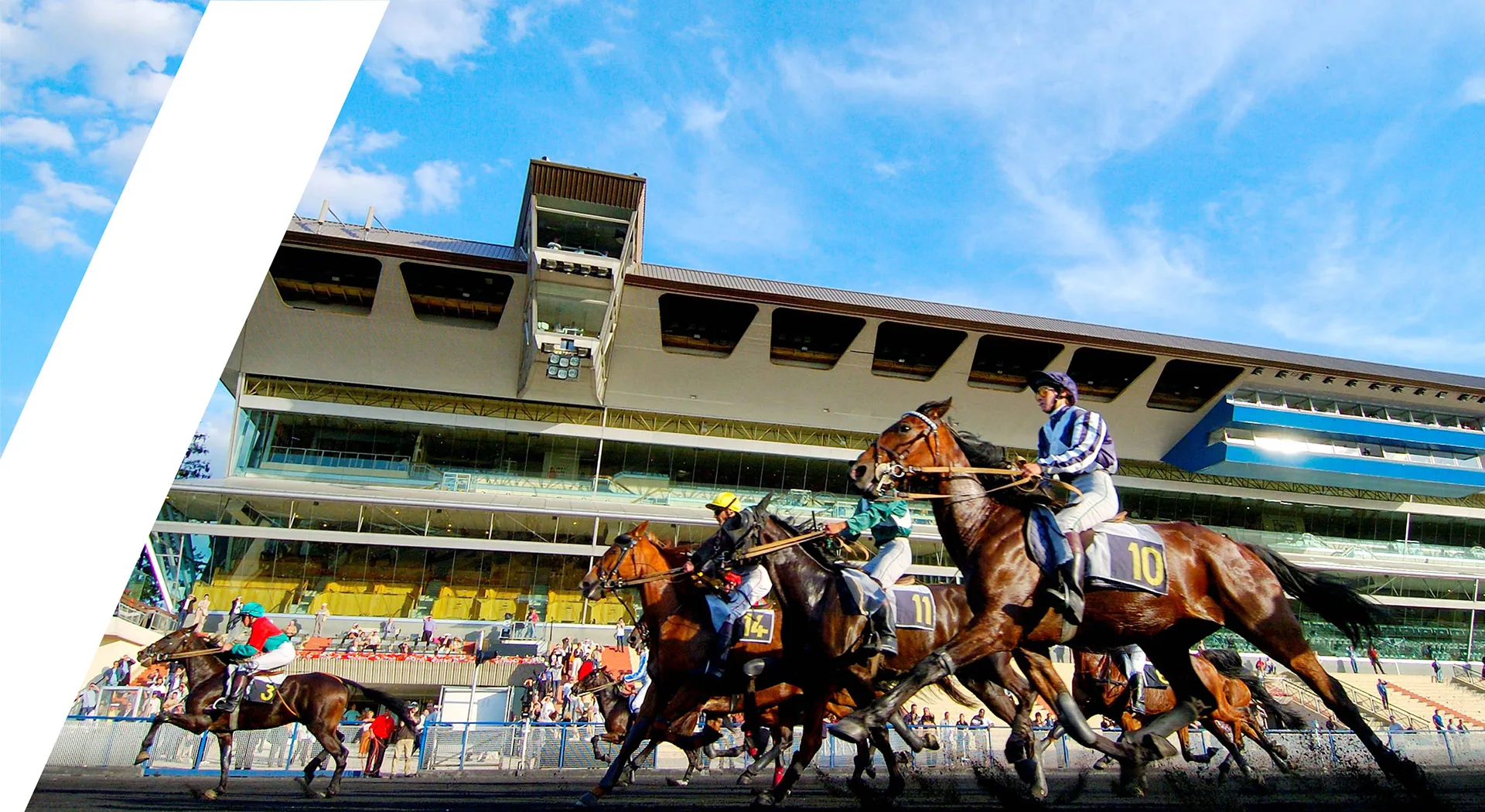 hippodrome de Paris Vincennes avec chevaux de course et jockeys en action
