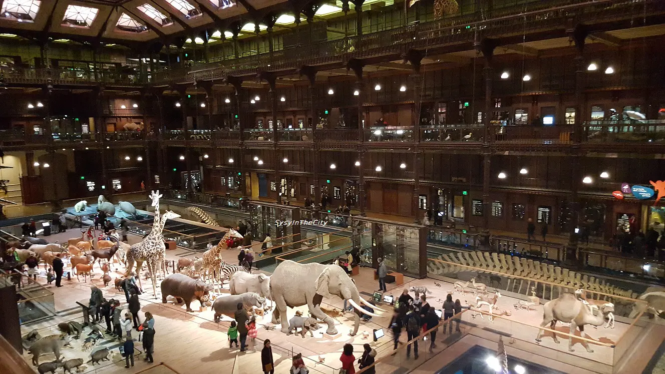 grande galerie de l'Évolution du Jardin des Plantes avec animaux naturalisés et visiteurs
