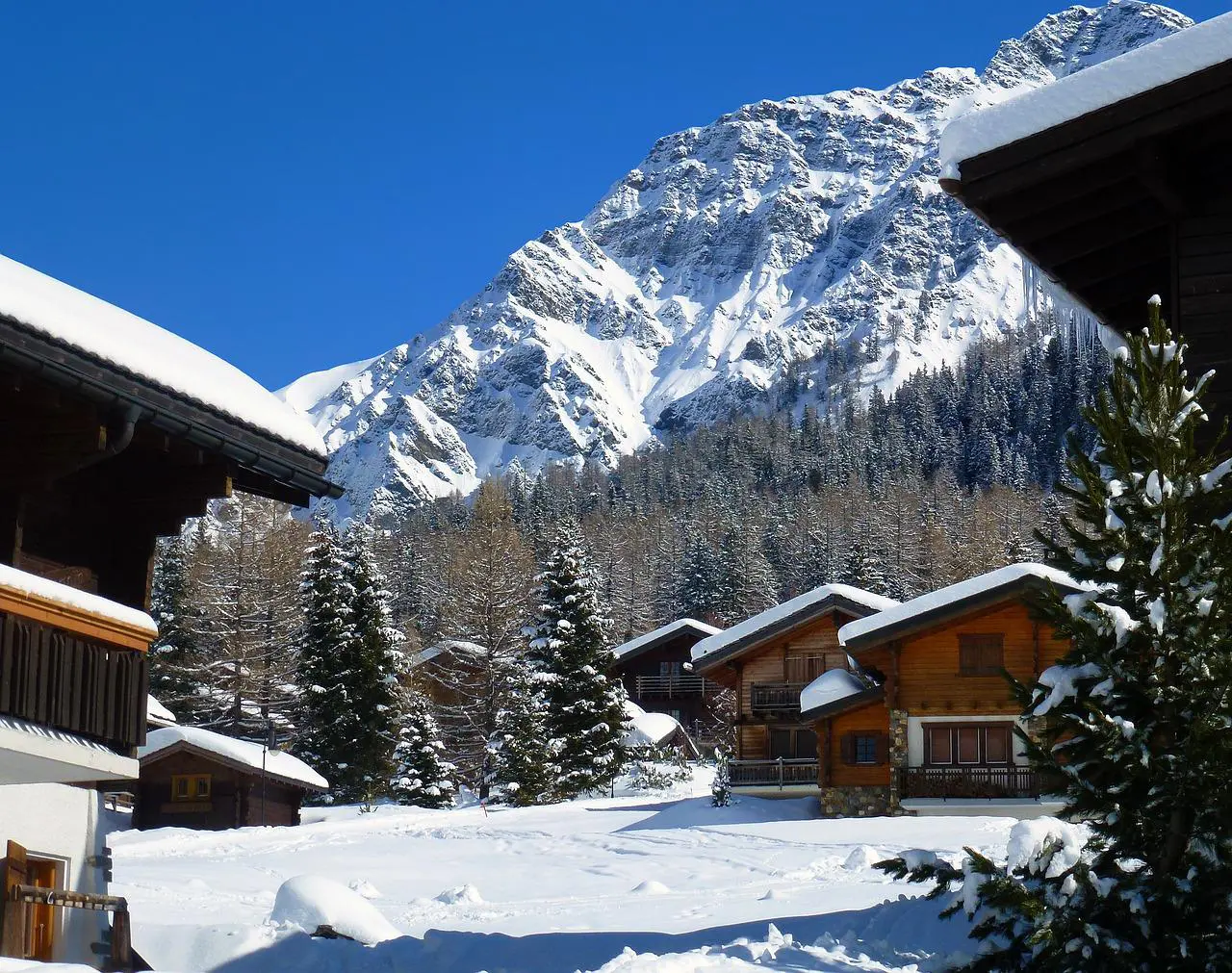 Des vacances à la montagne