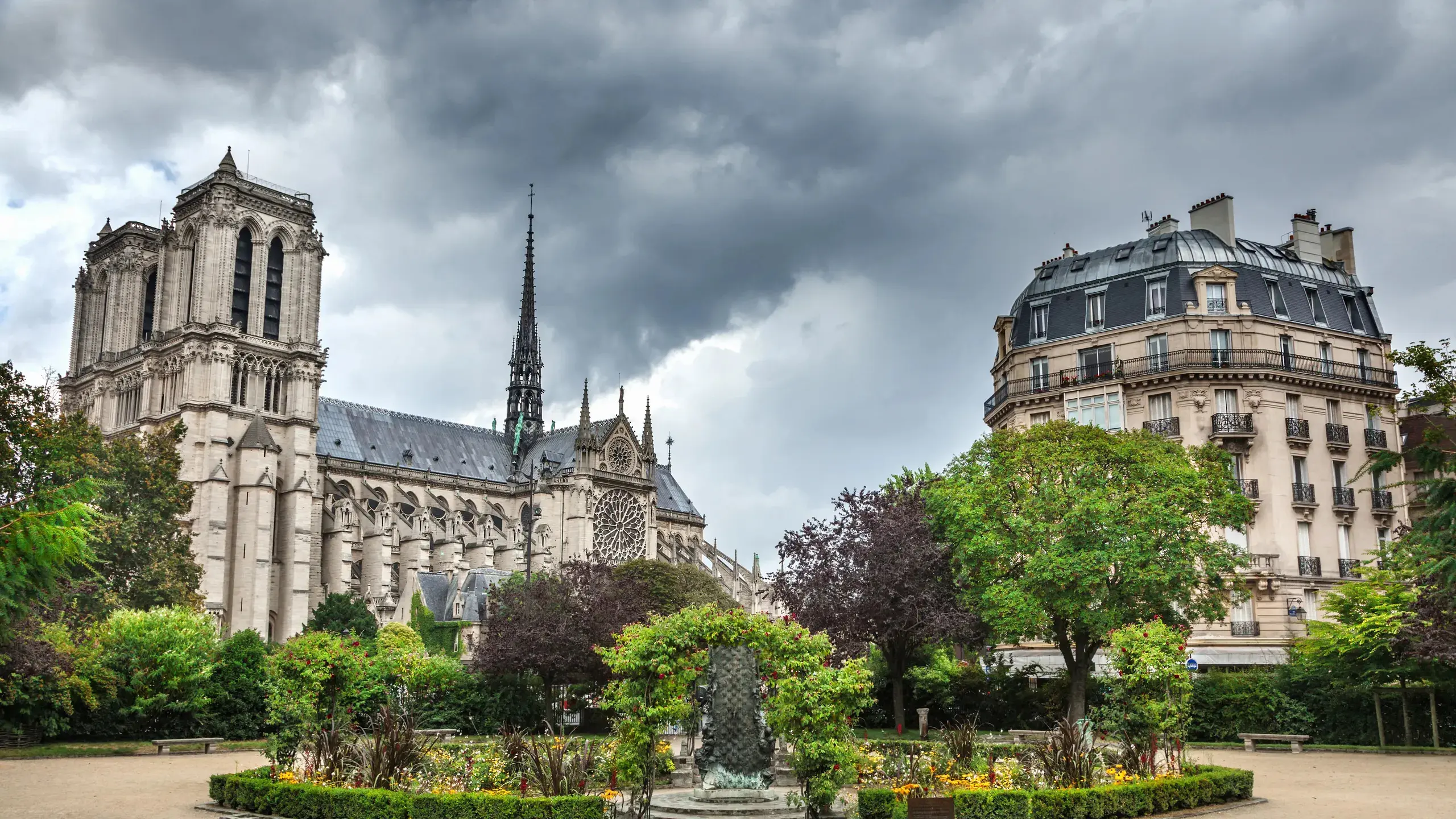 square rené viviani avec cathédrale notre-dame de paris en arrière-plan